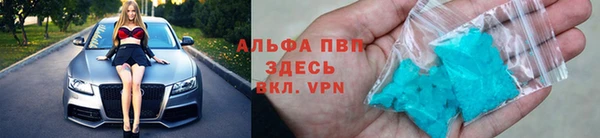 гидра Балахна