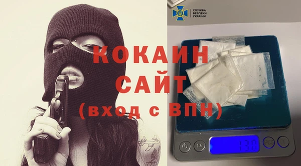 гидра Балахна