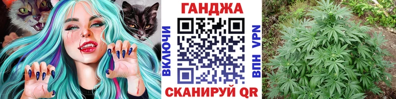 Купить где  Стародуб  Конопля ГИДРОПОН 
